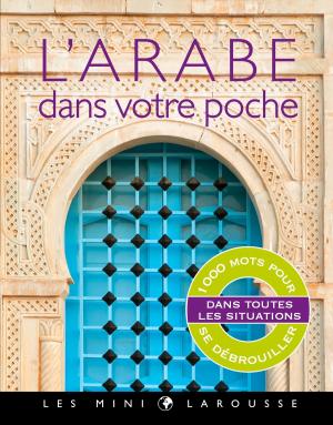 Cover of the book L'arabe dans votre poche by Sylvie Baussier