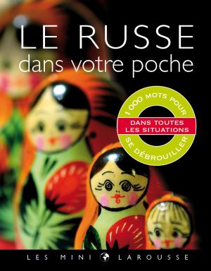 Book cover of Le russe dans votre poche