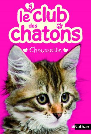 Cover of the book Chaussette by Catherine Favret