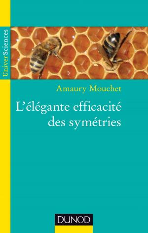 Cover of the book L'élégante efficacité des symétries by Jacqueline Nadel