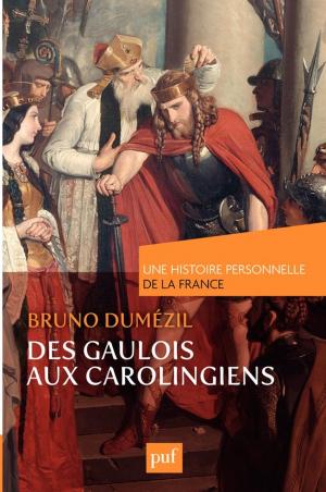Cover of the book Des Gaulois aux Carolingiens (du Ier au IXe siècle) by Yves Charles Zarka
