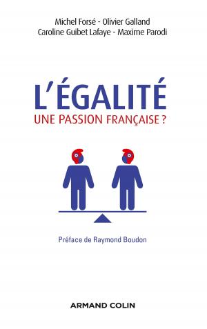 Cover of the book L'égalité, une passion française ? by Anne Gillain, Michel Marie