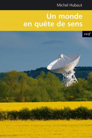 Cover of the book Un monde en quête de sens by Anne Lecu