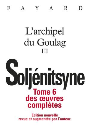 Cover of the book Oeuvres complètes tome 6 - L'Archipel du Goulag tome 3 by Jacques Lévy