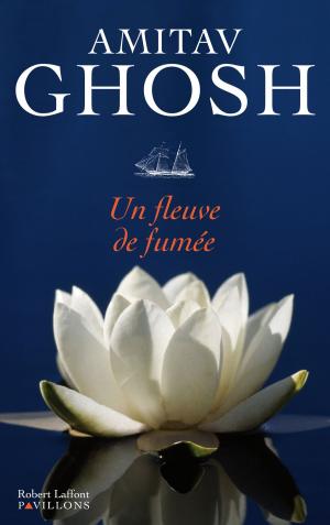 Cover of the book Un fleuve de fumée by Guillaume BINET, Pauline GUÉNA