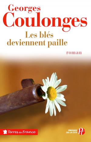 Cover of the book Les blés deviennent paille by Georges SIMENON, LOUSTAL