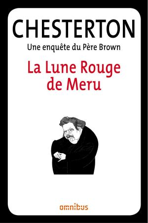 Cover of the book La Lune Rouge de Meru by Patrick CAUVIN