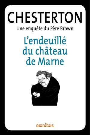Cover of the book L'endeuillé du château de Marne by Christophe LAMBERT