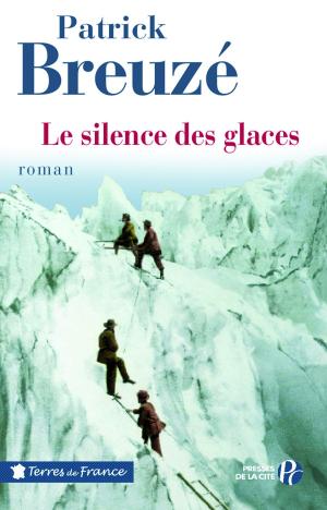 Book cover of Le Silence des glaces