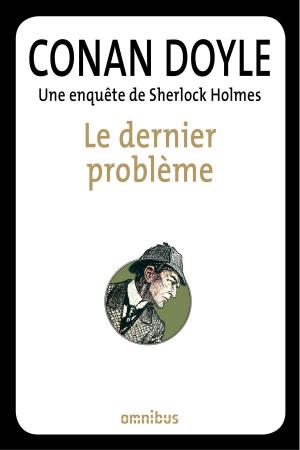 Cover of the book Le dernier problème by Matthieu BAUMIER