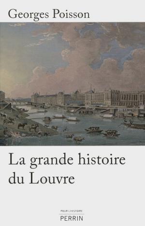 Cover of the book La grande histoire du Louvre by Dominique MARNY