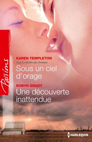 Book cover of Sous un ciel d'orage - Une découverte inattendue
