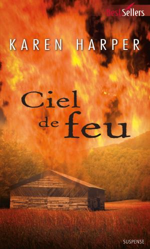 Cover of the book Ciel de feu by Addison Fox, Tyler Anne Snell, Webb D./Black R.
