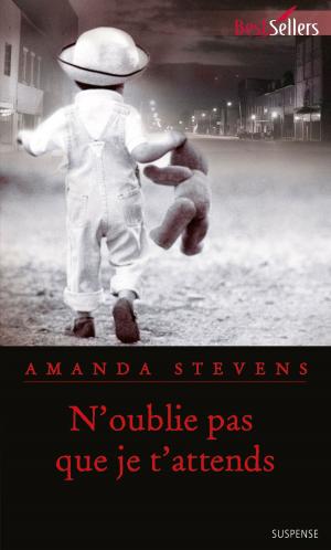 Cover of the book N'oublie pas que je t'attends by Denise Lynn
