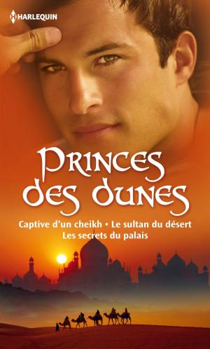 Cover of the book Princes des dunes by Rachel J.Queen