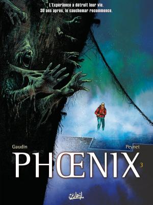 Cover of the book Phoenix T03 by Artur Stańczykiewicz