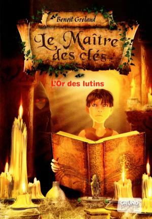 Cover of the book Le Maître des clés - Tome 2 : L'or des lutins by Susie JOUFFA, Frederic POUHIER