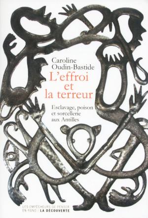 Cover of the book L'effroi et la terreur by Karine Lou MATIGNON
