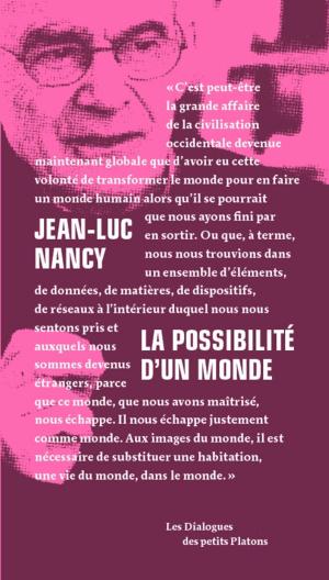 Cover of the book La possibilité d'un monde by Jean Paul Mongin