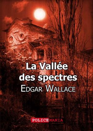 Cover of the book La Vallée des spectres by Fortuné Du Boisgobey