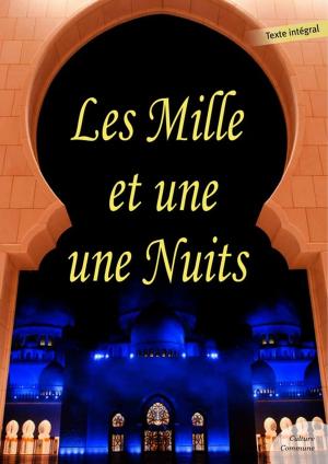 Book cover of Les Mille et Une Nuits