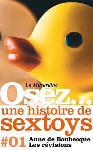 Cover of the book Osez une histoire de sextoys : Les révisions by D.t. Cholstitz