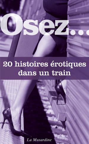 Cover of the book Osez 20 histoires érotiques dans un train by Octavie Delvaux