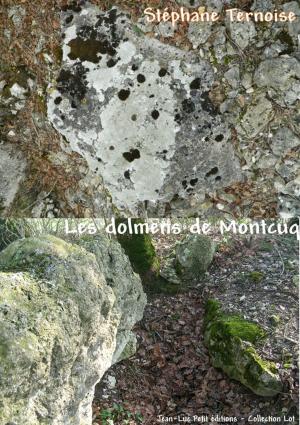 Cover of the book Les dolmens de Montcuq by Jean-Luc Petit