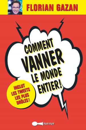 Cover of Comment vanner le monde entier !