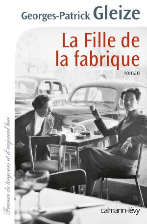 Cover of the book La Fille de la fabrique by Jean-Michel Thibaux