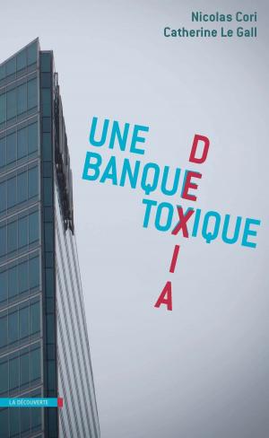 Cover of the book Dexia, une banque toxique by Didier FASSIN, Éric FASSIN