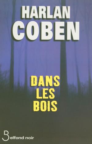 Cover of the book Dans les bois by Luc BLANVILLAIN