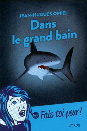 Cover of the book Dans le grand bain by Christian Epanya