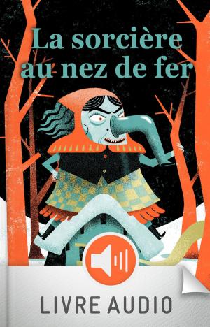 Cover of the book La sorcière au nez de fer by Mymi Doinet