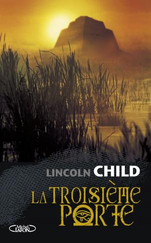 Cover of the book La troisième porte by Christophe Carriere