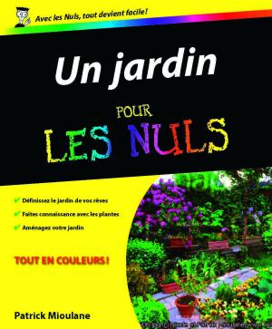 Cover of the book Un jardin pour les Nuls by Danielle CHADYCH, Dominique LEBORGNE