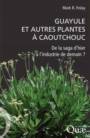 Book cover of Guayule et autres plantes à caoutchouc
