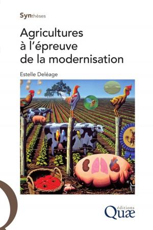 Cover of the book Agricultures à l'épreuve de la modernisation by Stéphanie Jaubert-Possamai, Denis Tagu