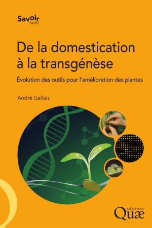 Cover of the book De la domestication à la transgénèse by Philippe Parrel, Crespin Aglinglo, Jérôme Lazard, Idrissa Ali, Pierre Morissens, Pascal Roche