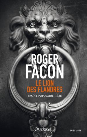 Book cover of Le lion des flandres