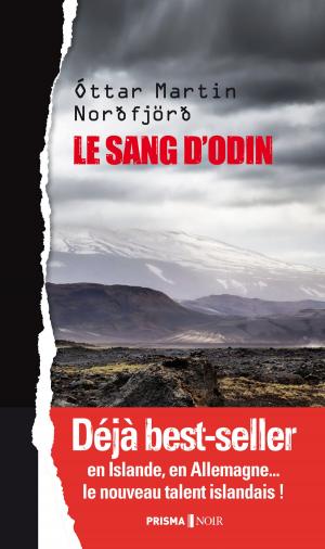 Cover of the book Le sang d'Odin by Jean-marie Rouart