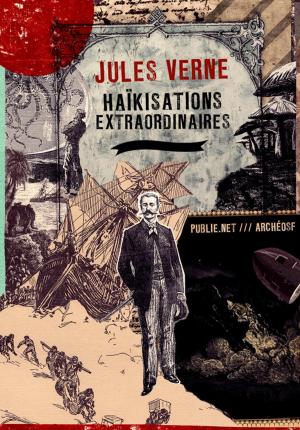 Cover of the book Haïkisations extraordinaires by Christine Jeanney