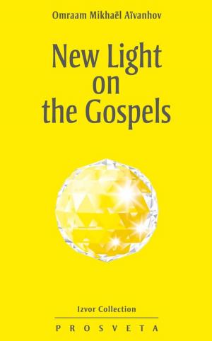 Cover of New Light on the Gospels