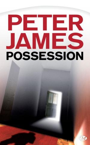 Cover of the book Possession by Gordon Doherty