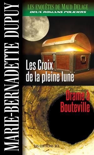 Cover of the book Les Enquêtes de Maud Delage, volume 2 by Sonia Marmen