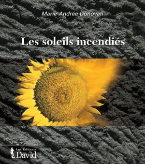 Cover of the book Les soleils incendiés by Pierre-Luc Bélanger