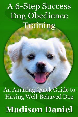 Cover of the book A 6-Step Success Dog Obedience Training by Jean-Pierre Plouffe