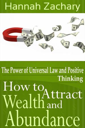 Cover of the book How to Attract Wealth and Abundance by bruno kadysz