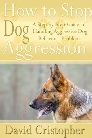 Cover of the book How to Stop Dog Aggression by Alejandra La Negra
