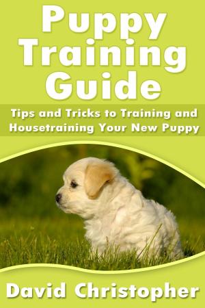 Cover of the book Puppy Training Guide by Narim Bender